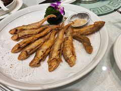 -金米箩大酒店(五角场店)
