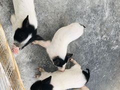 -瓷天下海丝谷