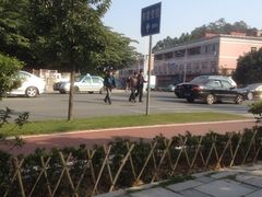 -东莞植物园