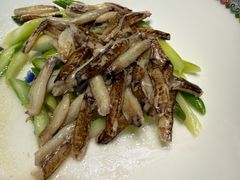 -新光酒家·河豚·海鲜·蟹料理(浦东店)