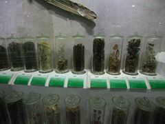 -广东中医药博物馆