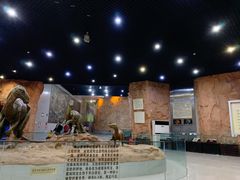 -中国西峡恐龙遗迹园