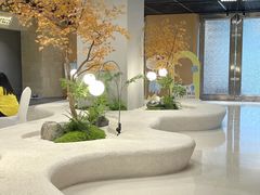 -帕帕拉兹宠物(亚洲旗舰店)