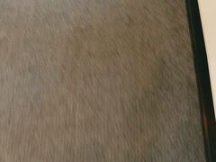 -陈根记大牌档