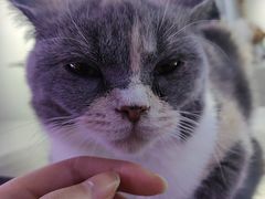 -极木²邸 人与宠物·互动社区