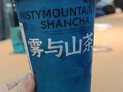 -雾与山茶(大禹城店)