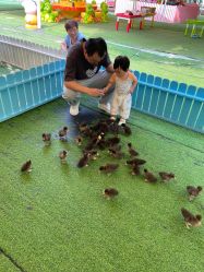 -萌宠亲子动物乐园(槐房万达店)