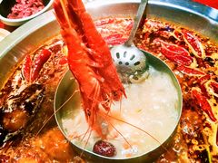 -谭鸭血老火锅(七宝万科广场店)