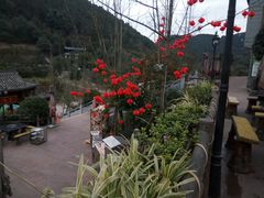 -楠柏弯休闲山庄(梨花溪店)