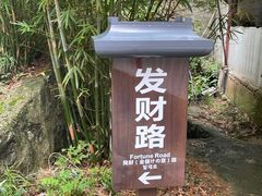 -仙岛湖旅游风景区