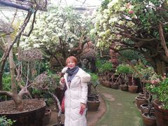 -呀路古热带植物园