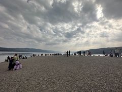 -阳宗海湿地