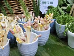 -亚马逊蒸汽活海鲜自助(LCM置汇旭辉广场店)