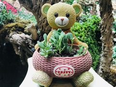 -花之城
