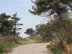 -鲁山国家森林公园