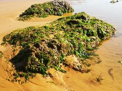 大海-青岛第三海水浴场