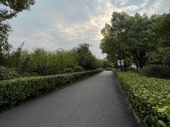 -合肥三国新城遗址公园