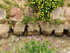 -扁都口生态休闲旅游区