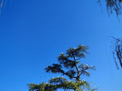 -翠湖公园