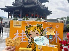 -金顺昌桂林桂花伴手礼(东西巷6店)