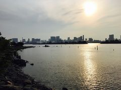 -台场海滨公园船码头