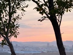 -红山国家森林公园