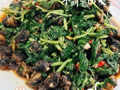 -绿草墩