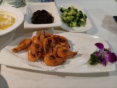 -云中小雅