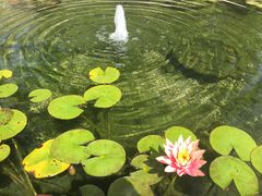 -灰石豪苑