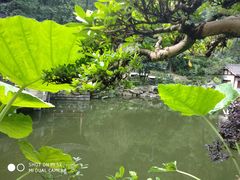 -南山植物园