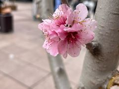 -王府井步行街