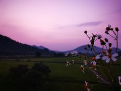 -艾米稻香小镇