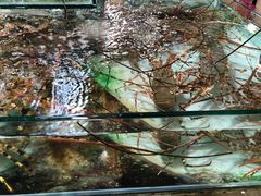 -班赞海鲜市场