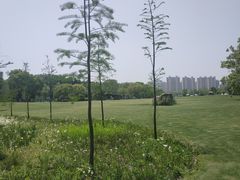 -昆山城市生态森林公园
