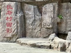 -长寿村