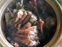 招牌焖鸭-和记菜馆