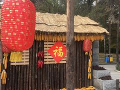 -黑龙江省森林植物园