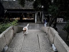 -南浔古镇