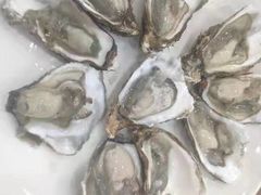 白芍生蚝-四海鲜渔家菜(黄金海岸店)