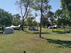 -上海长兴岛郊野公园