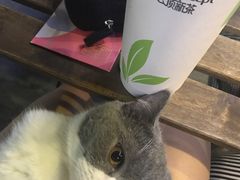 -云顶新茶(中洲店)