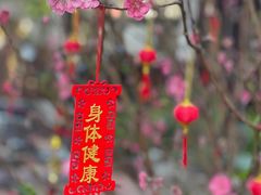 -三溪村
