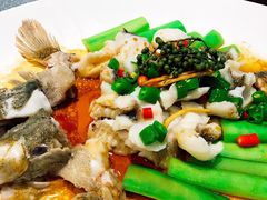 鲜花椒蒸鱼-猪肉婆私房菜(容桂总店)