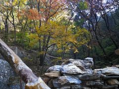 -北京上方山国家森林公园