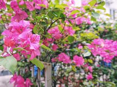 -默迹咖啡馆