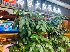 -马家大院铁锅炖(京粮广场店)