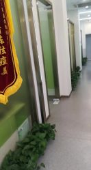 -苗医生0感科技祛痘