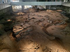 -自贡恐龙博物馆