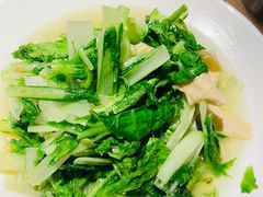 -佬肥猫(七宝宝龙店)