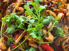 -小杨翘脚牛肉